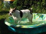 Sammyboy In Pool